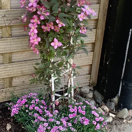 Апартаменты Familienwohnung 